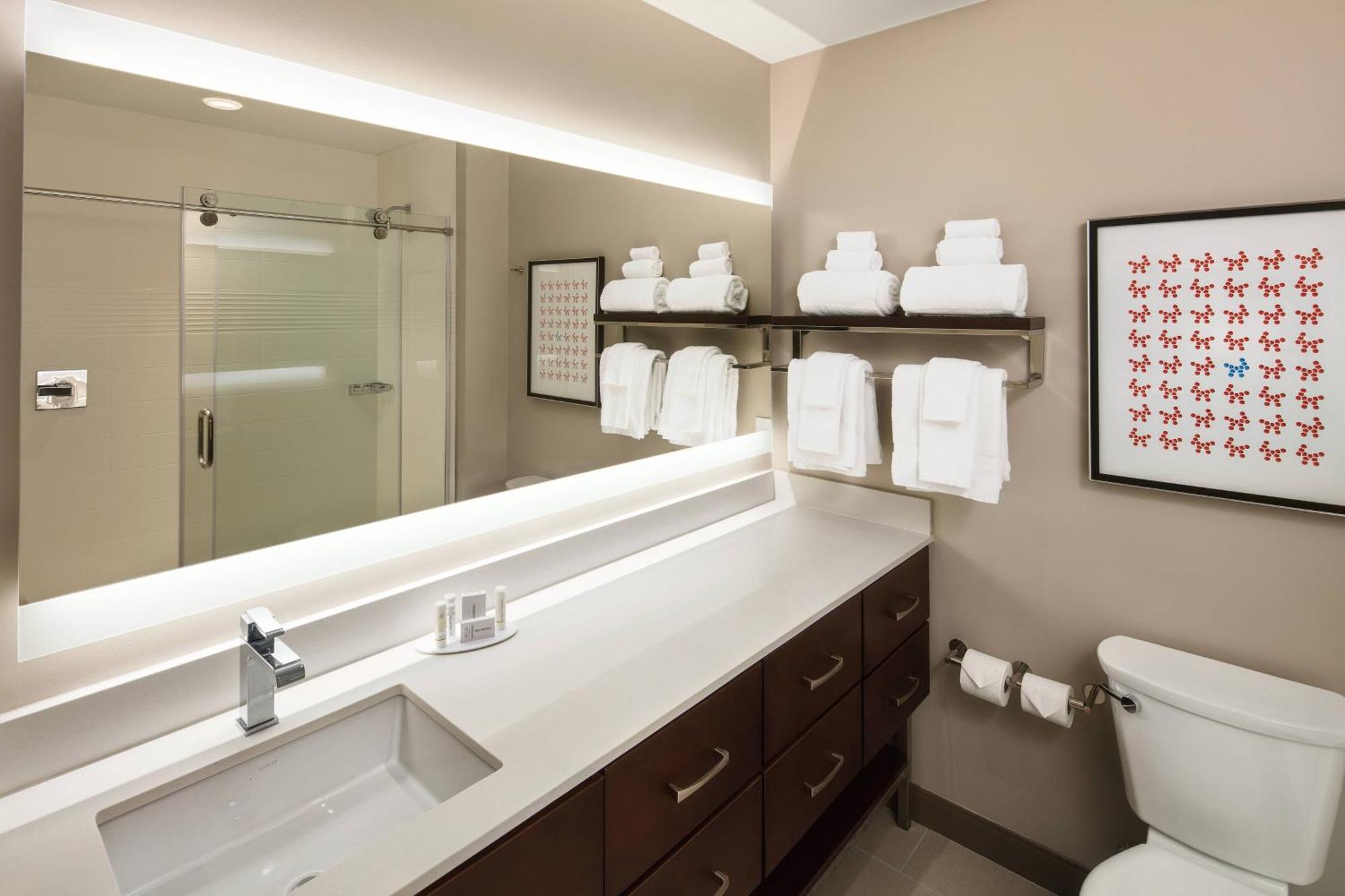 Towneplace Suites By Marriott New Orleans Downtown/Canal Street Εξωτερικό φωτογραφία